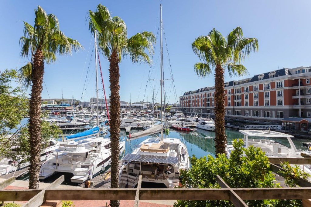 Param 103 – Picturesque yacht marina views framed by palm trees