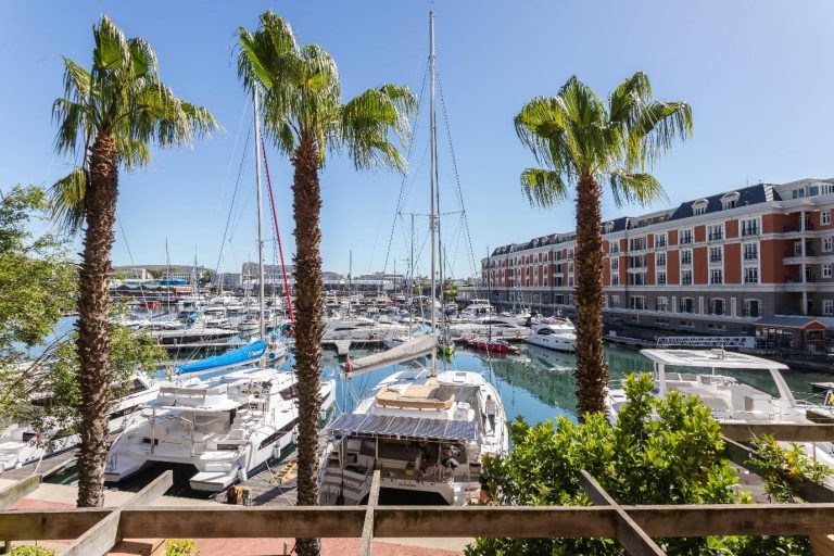 Param 103 – Picturesque yacht marina views framed by palm trees