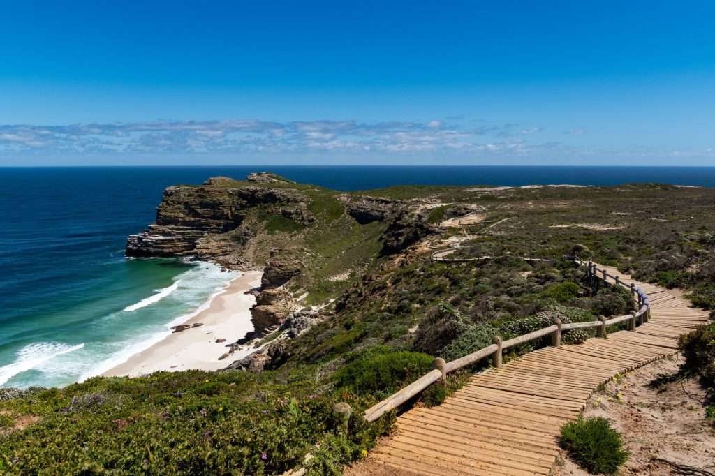 Discover the stunning cliffs and ocean views along the wooden pathway at Cape Point.