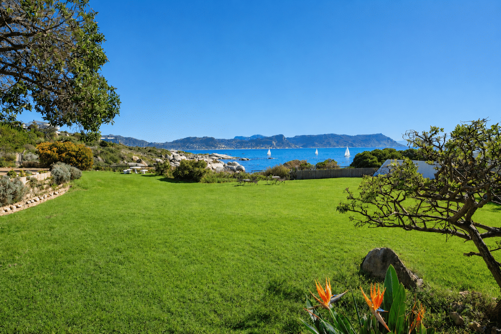 Bosky-lawn_a-EDIT