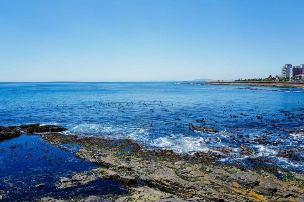Rocky Cape Town coastline with calm blue water under a clear sky.