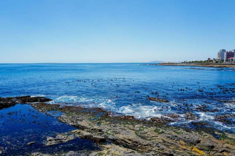 Rocky Cape Town coastline with calm blue water under a clear sky.