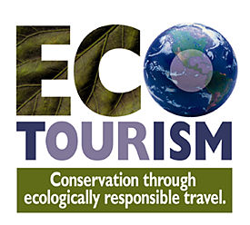 Cape Eco Tourism